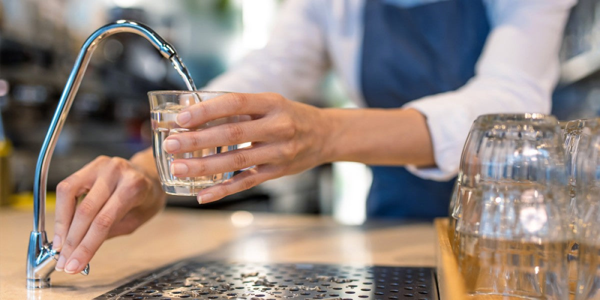 Commercial kitchen water filtration system supporting food safety and beverage quality