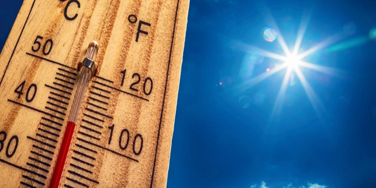 Commercial refrigerators and freezers operating efficiently during hot summer weather