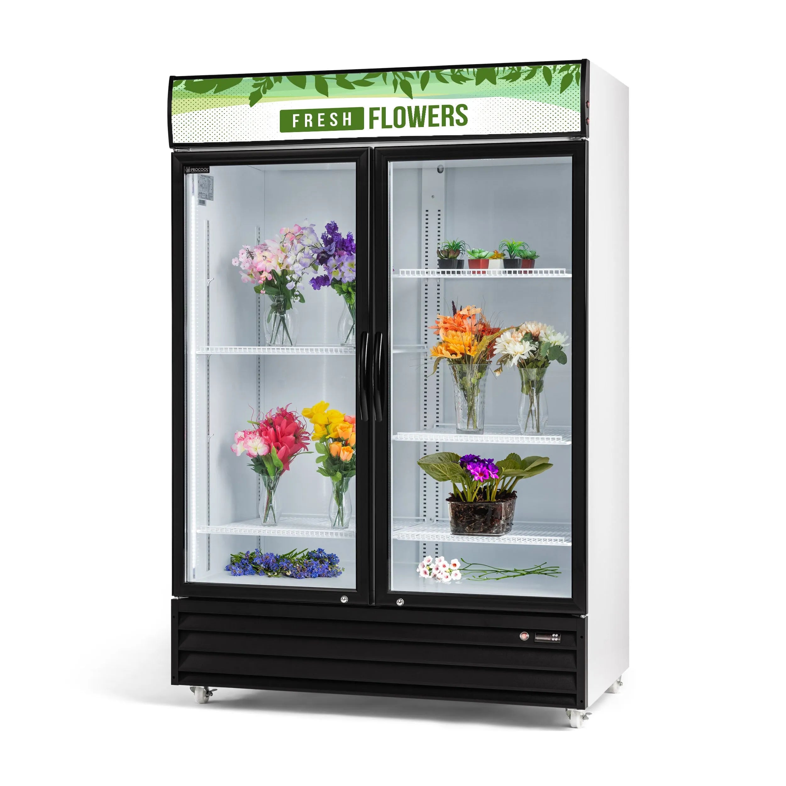 Procool 2-Door Flower Cooler - 43 Cu. Ft-Floral Display Coolers-CSD-1400-FF