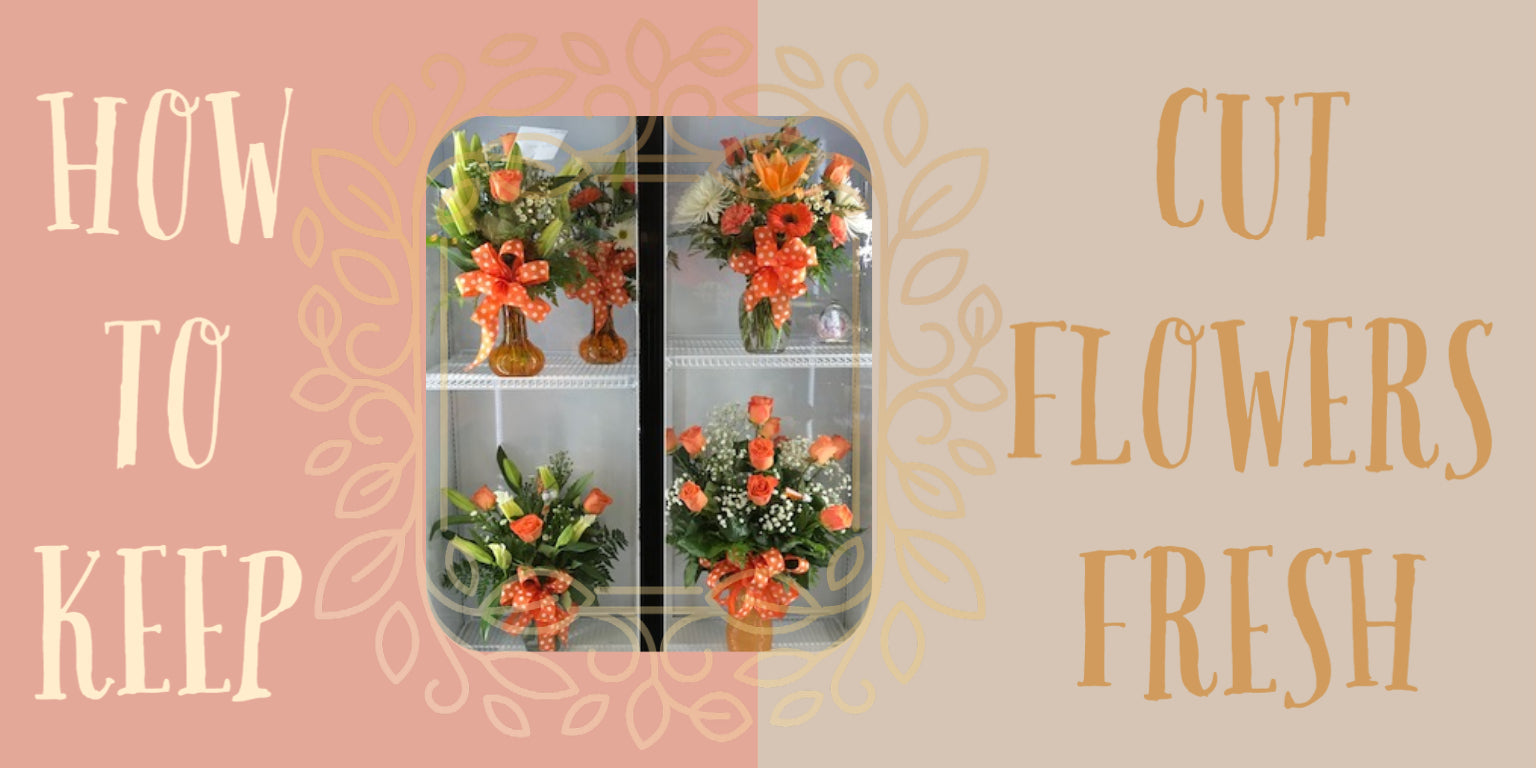 Tips To Keep Cut Flowers Fresh Longer