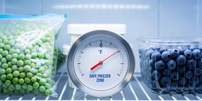Food Safety Freezer Temperature