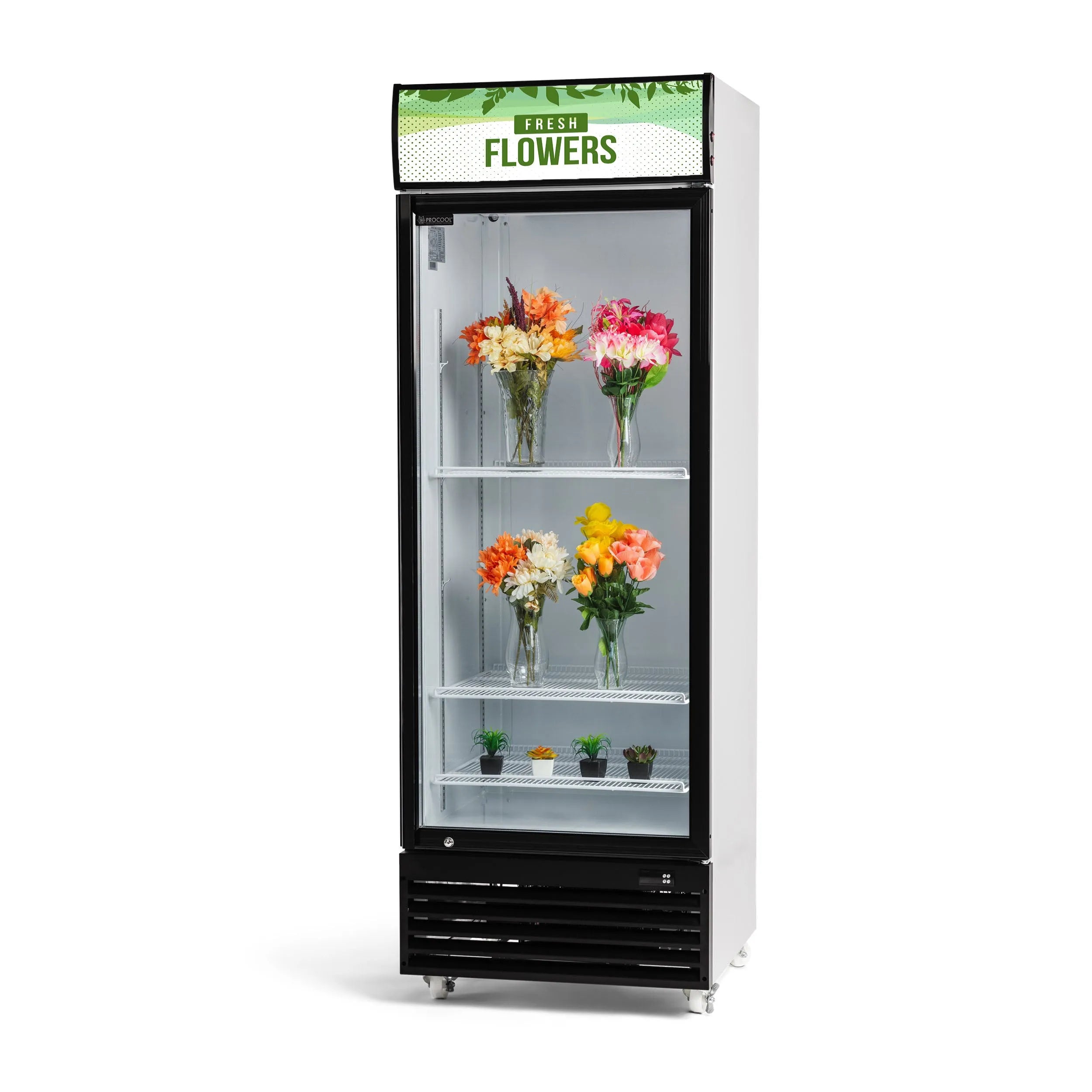 Procool Single Door Floral Cooler