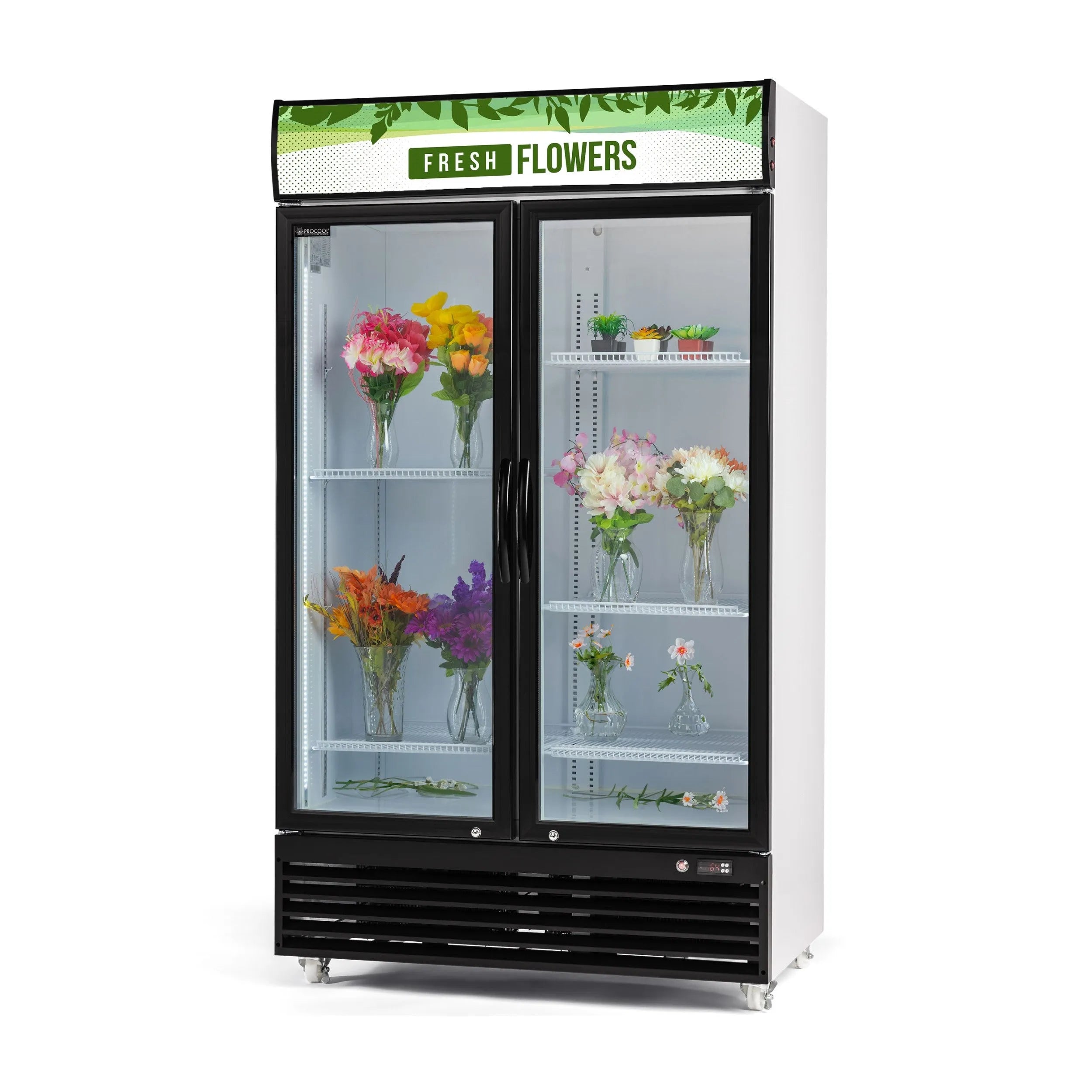Procool Two Door Standard Floral Cooler