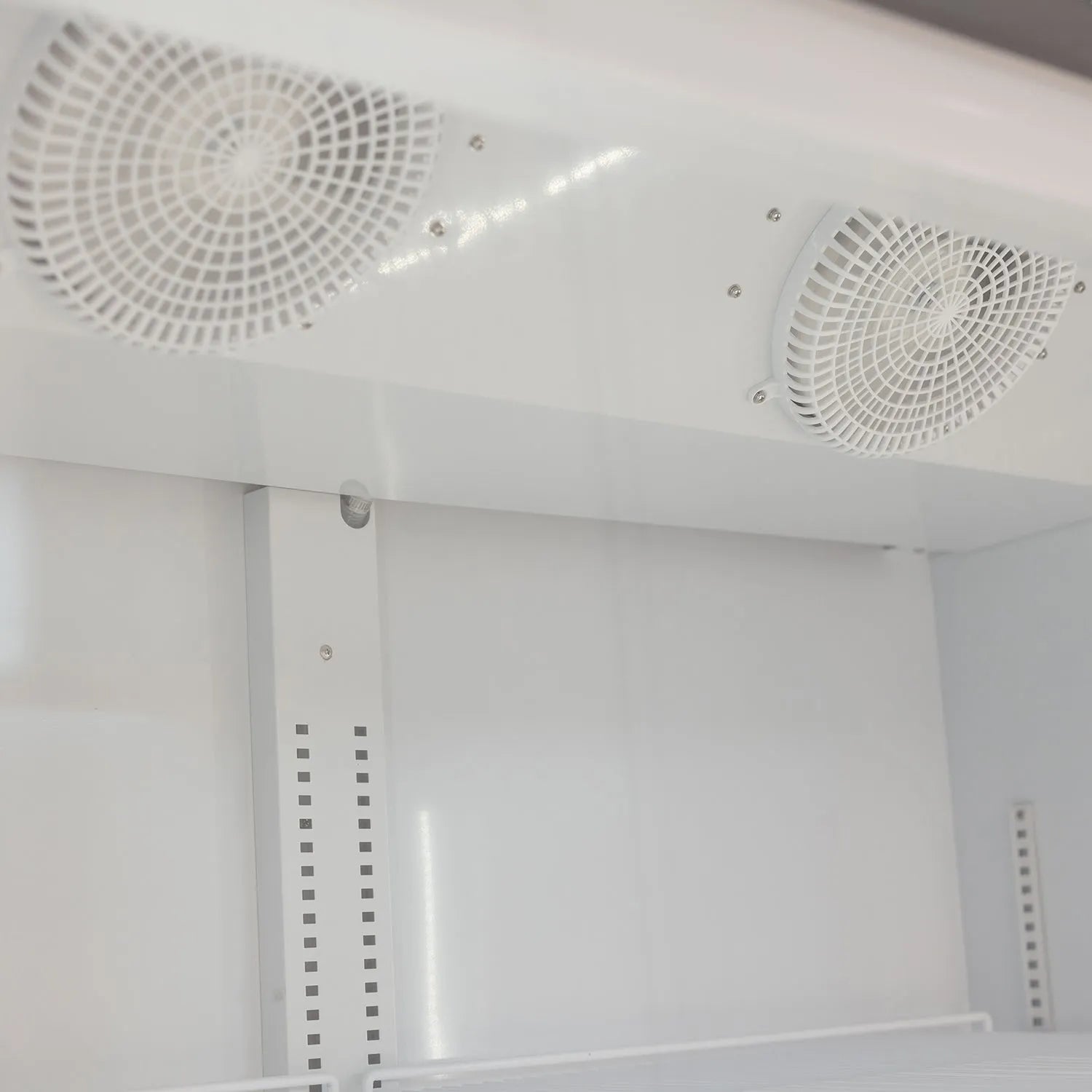 Flower Cooler for Sale; Procool 2 Door Merchandiser for Flowers