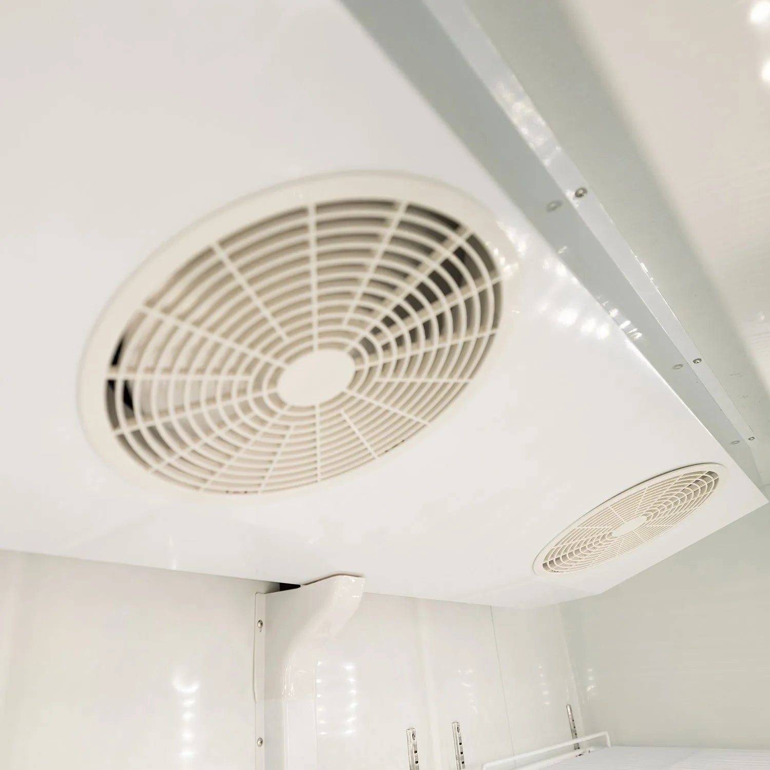 PeakCold Upright Display Cooler