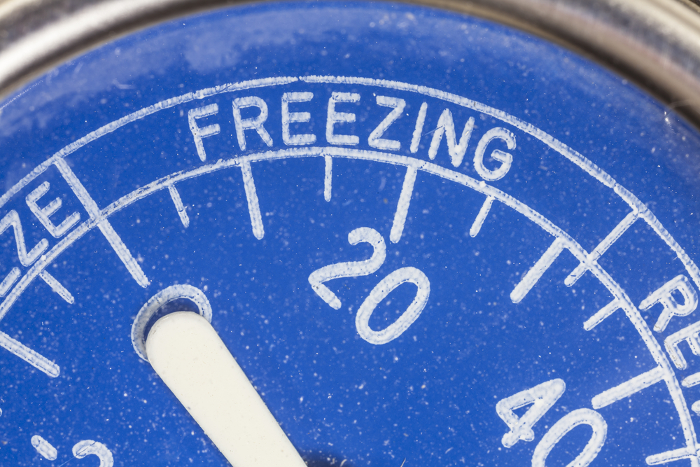 Freezing Food and Frozen Food Safety